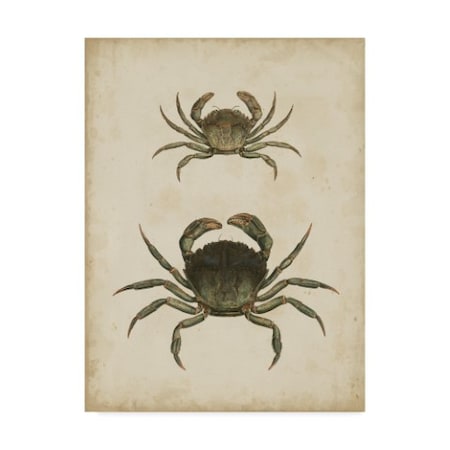 Trademark Fine Art James Sowerby 'Crustaceans Iv' Canvas Art, 14x19 WAG03979-C1419GG